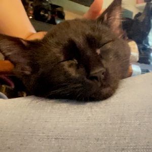 Meet your Posher, Mylie